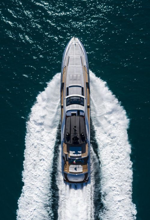 Pershing – The dominant species